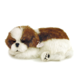 08Original - Shih Tzu For Discount