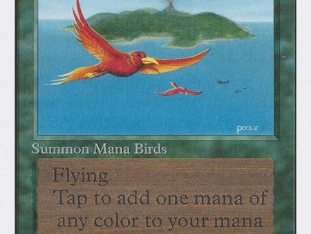 Birds of Paradise [Unlimited Edition] Cheap