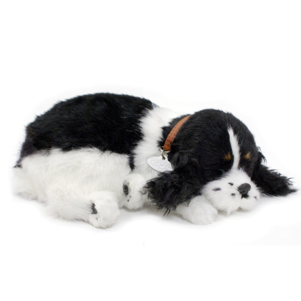 14Original - Cocker Spaniel Online Sale