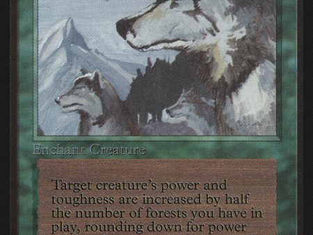 Aspect of Wolf [Beta Edition] Cheap