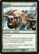 Aurochs [Coldsnap Theme Decks] Supply